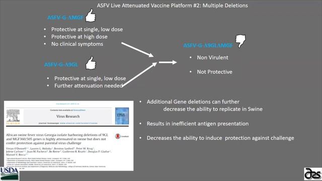 Dr. Gladue - Deletion of novel gene in African swine fever virus produces protection