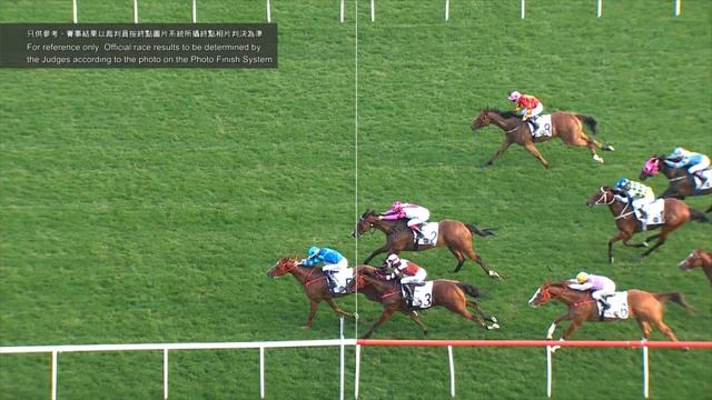 1/1/2022 (305) Master Eight - J Moreira (G3, The Bauhinia Sprint Trophy, undefeated Master Eight! )