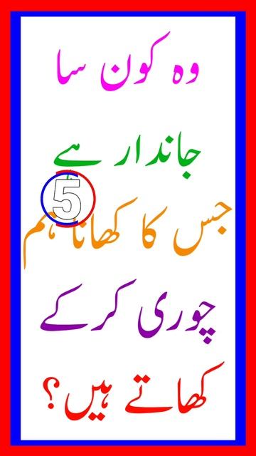 Urdu Paheliyan With Answer #youtubeshorts #youtube #ytshorts #imrannotes