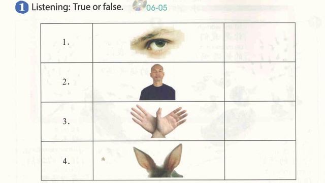 YCT1lesson6 听力 listening mandarin test level 1 丨beginner mandarin listening practice