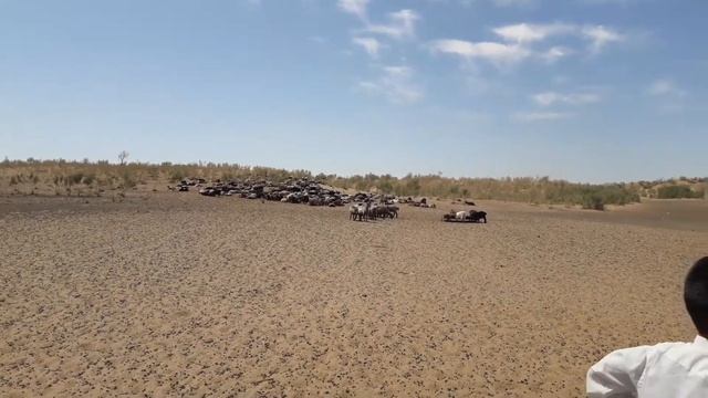 Кудык iзбасар