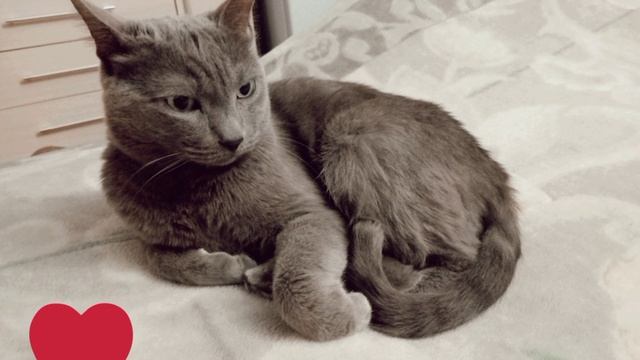 Мои любимые булочки💕💕💕