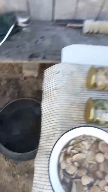 Это у нас такие заготовки!