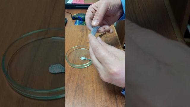 Сплав Индия и Галия часть 2