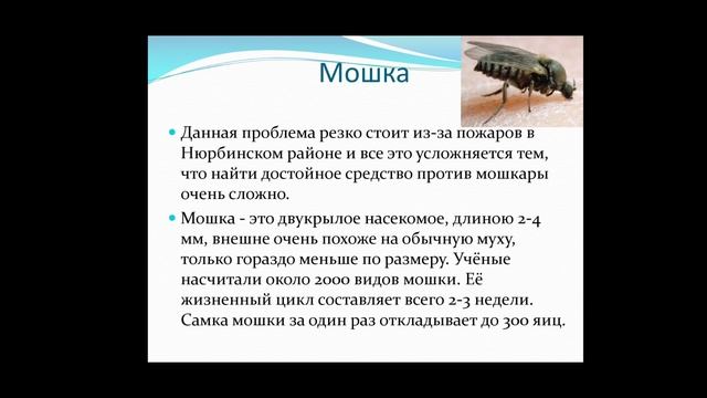 Лисовенко София "Репеллент против мошек из эфирных масел растений произрастающих в Нюрбинском р."