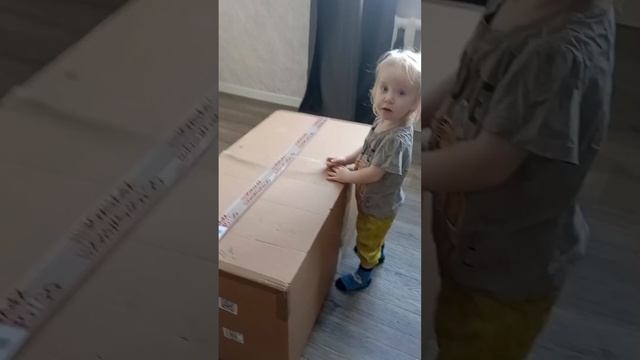 Инкубатор матрица вегас
