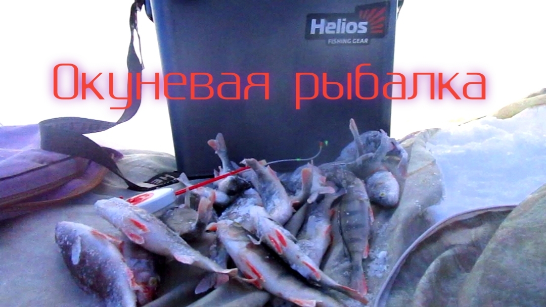 ОКУНЬ ТОЛЬКО НА ГВОЗДЕКУБИК! РЫБАЛКА В ГЛУХОЗИМЬЕ!