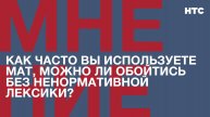 Мнение: Как часто вы используете мат, можно ли обойтись без ненормативной лексики?