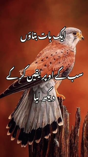 اک بات بتاؤں #urdu shayari status sad #sad #urdu #4k