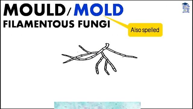 FUNGAL REPRODUCTION PART B SWAHILI SBK