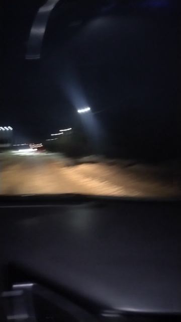 Лабрадор Луна в пути