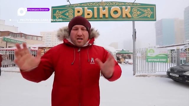 Разведка блогом / Крестьянский рынок / 19.04.23