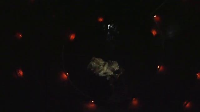 waitomo  caves  glowworms  and trails