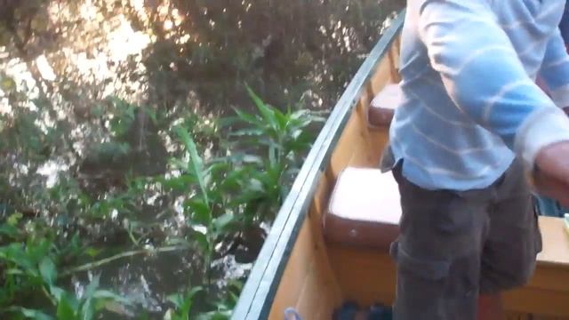 Piranha Fishing