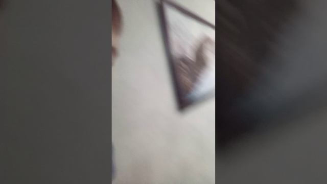 VID_20250203_121216.mp4
