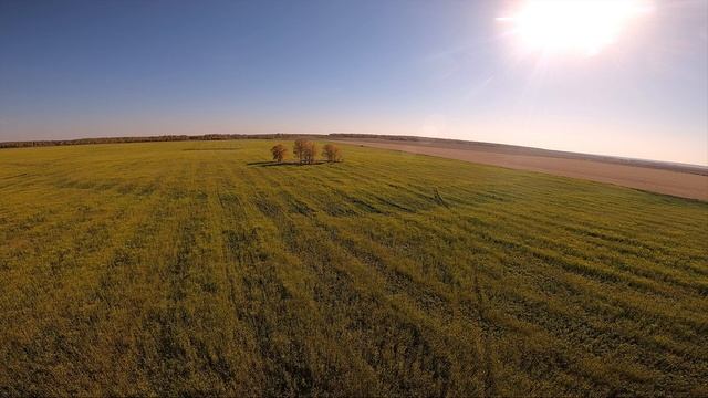 Skyline - FPV