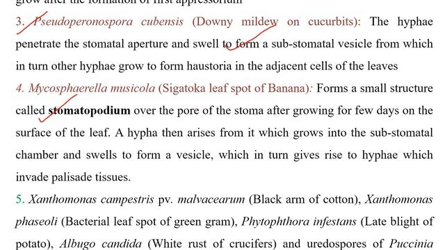 Phenomenon of Infection