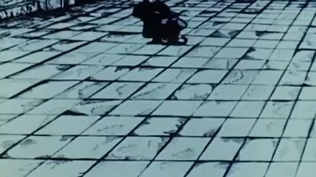 1982 год   Учёный кот А Саакян
