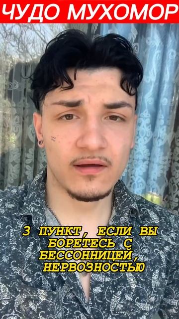 ЧУДО МУХОМОР