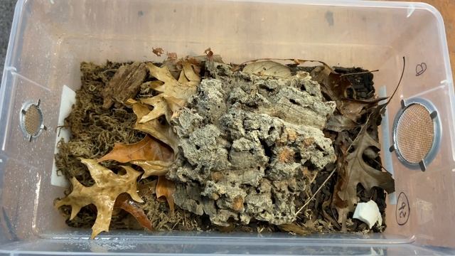 Pod of the Week Episode 44!