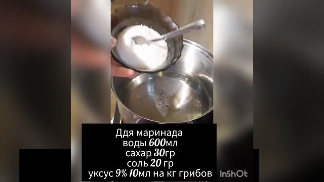 маринованные шампиньоны на зиму