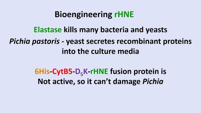 Recombinant Human Neutrophil Elastase Expression in Pichia pastoris