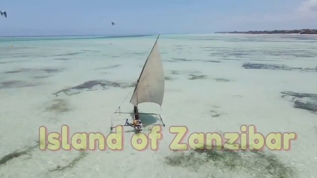 Christmas in Serengeti & New Year's in Zanzibar