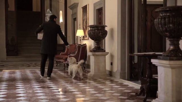 Savini Tartufi - Tartufai per Passione da Quattro Generazioni - Toscana Italia ( Italian )