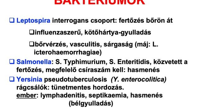 Legeslegfontosabb Zoonosisok FeketeSGy