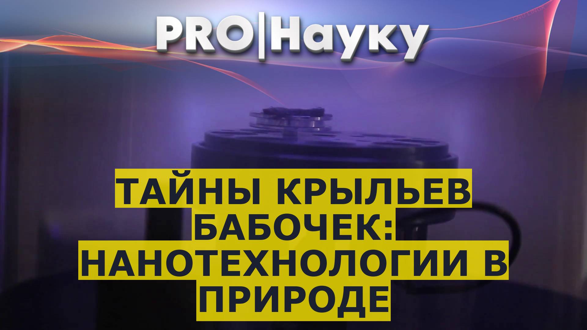 Тайны крыльев бабочек: нанотехнологии в природе