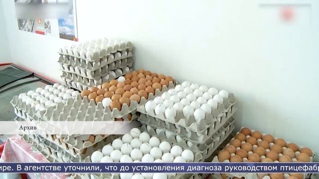 07.02.2024 На птицефабрике ввели ограничения из за гриппа А