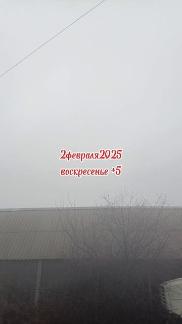 03февраля2025