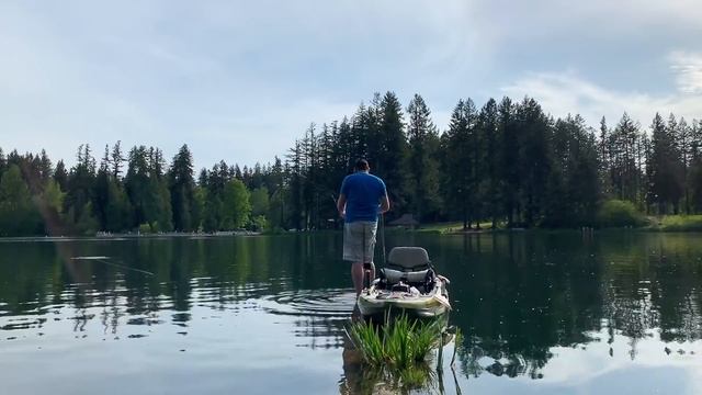 BOBBER FISHING for Rainbow Trout! (Catch & Cook) WILD OYSTER MUSHROOM Recipe!!!