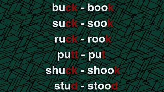 DVD 2 Master Spoken English - 02.3 Minimal Pairs - 13  buck   book