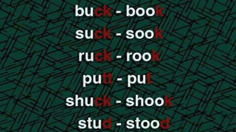 DVD 2 Master Spoken English - 02.3 Minimal Pairs - 13 buck book