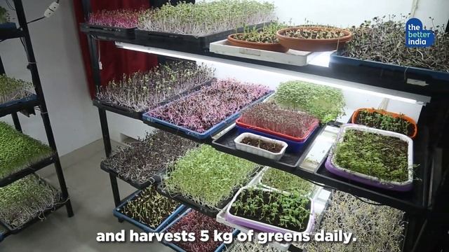 He Grows Delicious & Healthy Microgreens In His House! 🌱 | Kerala