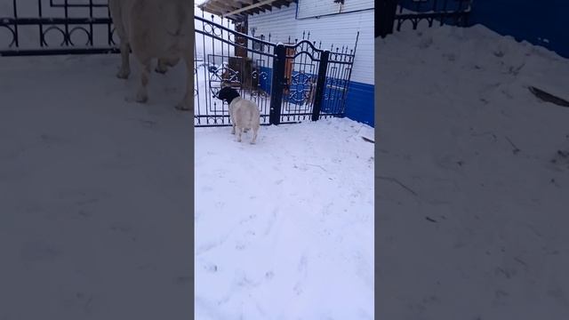 1000032820.mp4