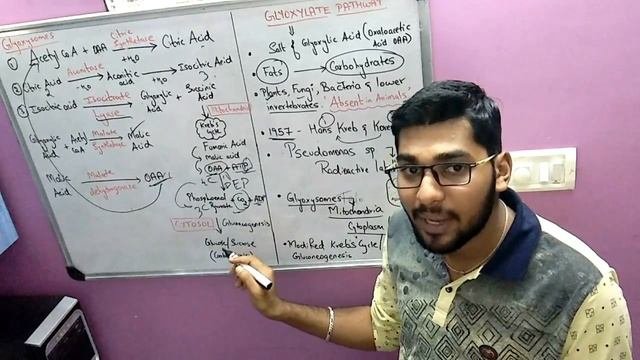 GLYOXYLATE PATHWAY And Its Significance With MNEMONICS