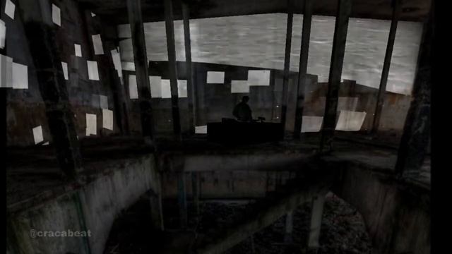 CRACA EM RUINAS :  Thoracica