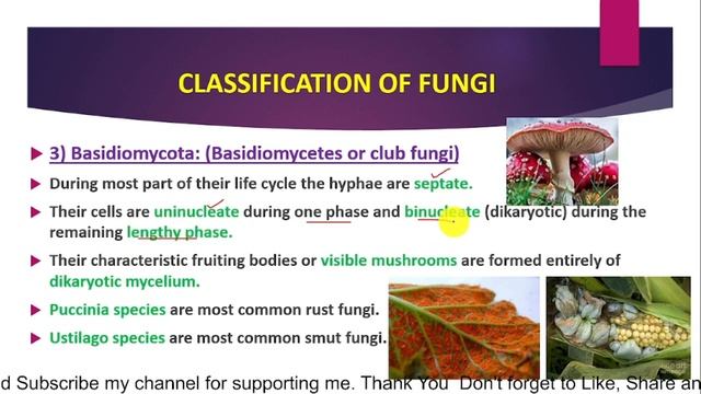 Ch#08 | Kingdom Fungi | Lecture # 10 | Classification Of  Fungi (Basidiomycota) @riffatjahan