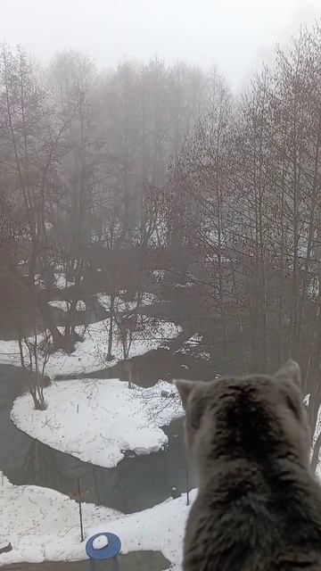 А чем у нас пахнет!??? А пахнет -Весной!!!!!