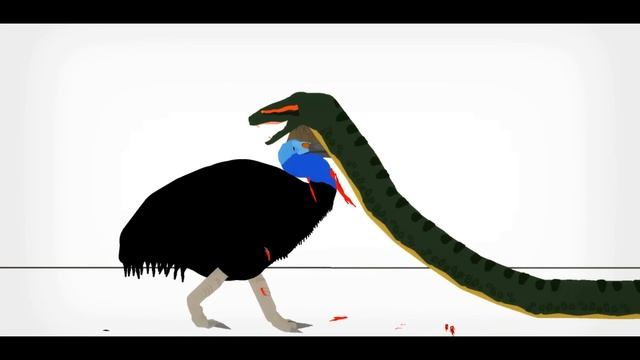 Pivot Battle Arena: Anaconda VS Cassowary