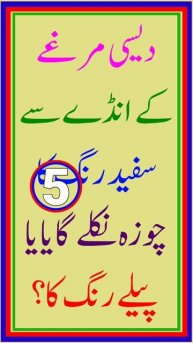 Paheliyan In Urdu #youtubeshorts #youtube #ytshorts