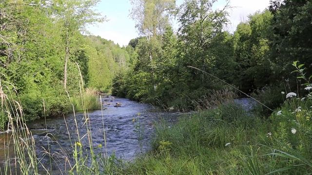 Ручей в парке. Слушаем успокаивающее журчание воды. Релакс.