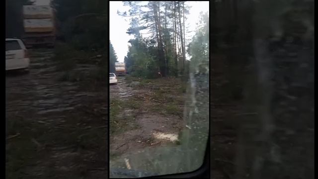 Дорога после урагана ,выезд из Киренска .