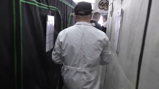Как ЗАРАБОТАТЬ МИЛЛИОН НА ГРИБАХ?! БИЗНЕС С НУЛЯ! КАК ЗАПУСТИТЬ БИЗНЕС В ПРОСТОМ ГАРАЖЕ?!