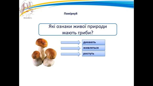 Яке значення грибів для природи. 3 клас