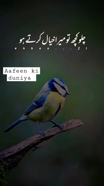 ke dukh de kar sawal krte ho!!😓🙄#shayari #poetry#sad#sadstatus#viral#shorts2023
