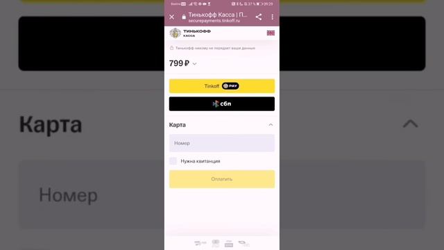 Подключение платежей по 54-ФЗ к Тильда.  СБП для Tilda.