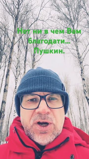 Нет ни в чем Вам благодати… #стихи #поэзия #жизнь #жизнькакмиг #carpediem #любовь #россия #пушкин